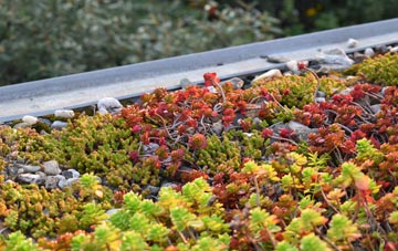 the cost of Summerley green roof installation