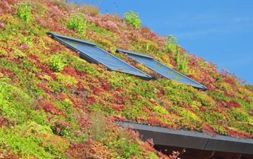 Summerley living roof systems