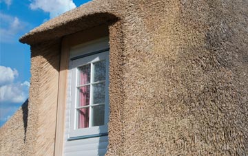 Summerley thatch roof disadvantages