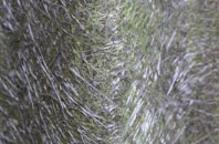 Summerley fibreglass roof work